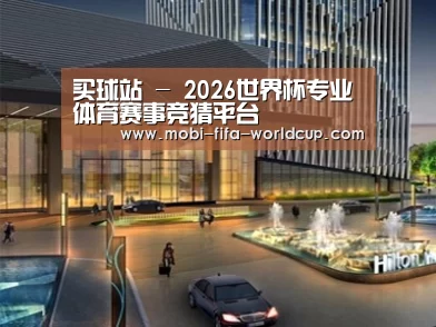案例展示二